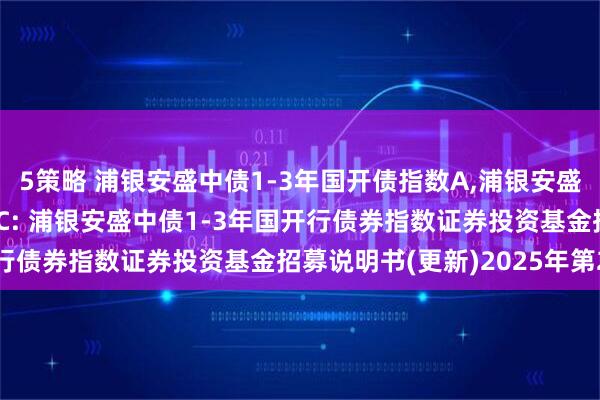 5策略 浦银安盛中债1-3年国开债指数A,浦银安盛中债1-3年国开债指数C: 浦银安盛中债1-3年国开行债券指数证券投资基金招募说明书(更新)2025年第2号