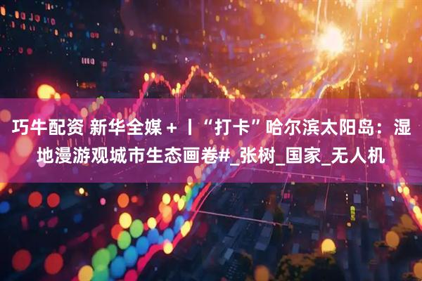 巧牛配资 新华全媒＋丨“打卡”哈尔滨太阳岛：湿地漫游观城市生态画卷#_张树_国家_无人机